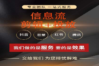 网络推广策略：竞价广告的实践案例